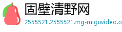 固壁清野网